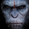 Marcus Liberato's profile picture