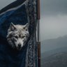 wolf 🐺's profile picture