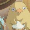Profilbild von koki( ᐛ)パァ🍯ァ パ( ᐖ )