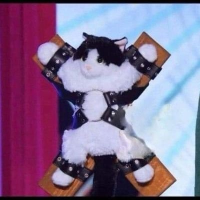 QuirkyTh0ughts_'s profile picture