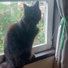 Diane B. profil fotoğrafı