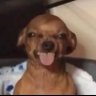 Profilbild von peewee