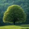 Profilbild von 行走风景