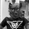 Profilbild von orto badger