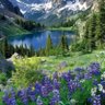 Фото профиля Joyce2️⃣NFSC