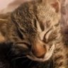 rdein's profile picture