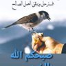 Profilbild von احمد