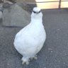 Karin's profile picture