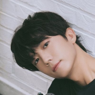 WhiteCAT_430's profile picture