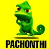 Profilbild von Pachonthi official