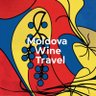 WINE TRAVEL profil fotoğrafı