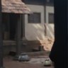 Tush profil fotoğrafı