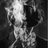 Alexander's profile picture