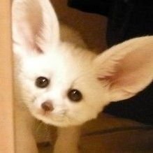 사부's profile picture