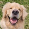 Profilbild von Hid, Apollo's & Beethoven's best friend