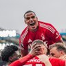 Profilbild von Just Here for NFFC