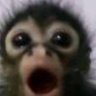 Do i give a damn?'s profile picture