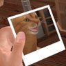 Ploko VR ๐ - Wishlist on steam's profile picture
