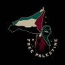 Veiled Vigilante's profile picture