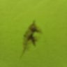 hendi kusumah's profile picture