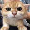 Profilbild von 随缘浮生