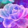 ルイ💐's profile picture