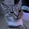 @adb1 的头像