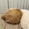 cjy 的头像