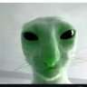 Henrique's profile picture
