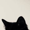 لِـ profil fotoğrafı