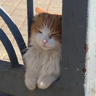 Burger2736's profile picture