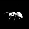 Фото профиля SAHOUR.🐜🐜🐜🐜