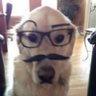 Profilbild von ohm the 2th