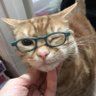 Oscar :)'s profile picture