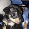 Mikita's profile picture