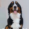 Profilbild von NurseBetty