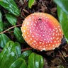 Фото профиля Rita Donné