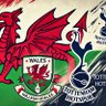 WelshSpur profil fotoğrafı
