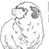 ますかっと 的头像
