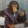 Profilbild von Slejhy