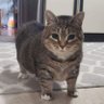 Pares profil fotoğrafı