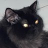 .'s profile picture