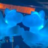 さいこ避難所🧸 的头像