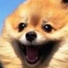 Gabi's profile picture