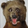 Profilbild von schmeecks