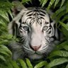 Teee.Zeee.🏳️🌈🌈🇵🇭's profile picture
