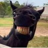 Salaga profil fotoğrafı