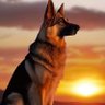Stephen Alan ☆☆☆☆ profil fotoğrafı