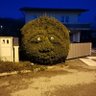 Milius 的头像