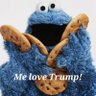 Фото профиля Conservative Cookie!